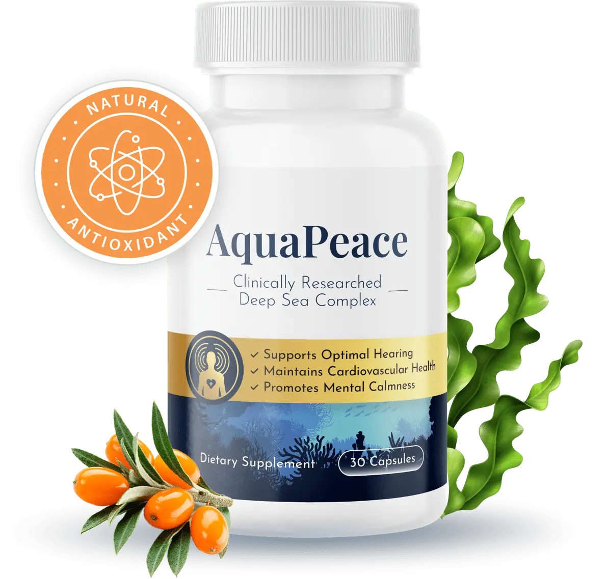 AquaPeace AquaPeace